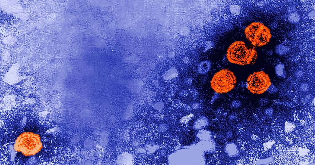 US-backed hepatitis B vaccine study halted in Guinea-Bissau