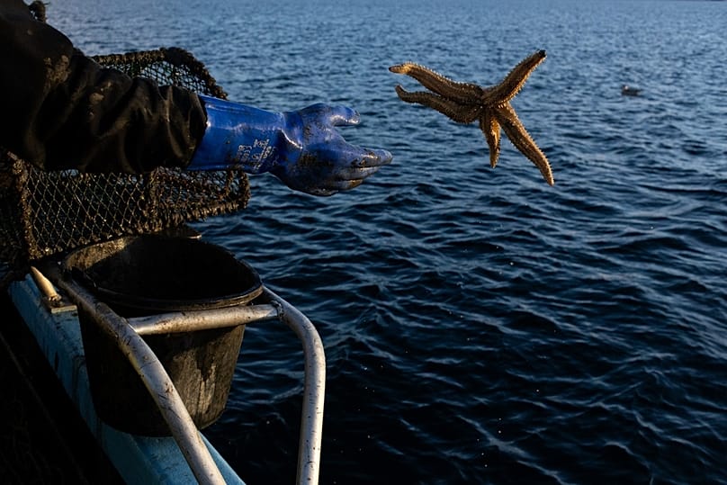 Un pescador lanza una estrella de mar de vuelta al mar