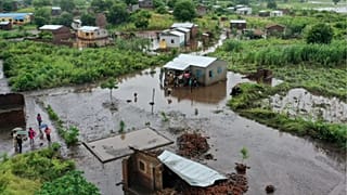 Mozambique : les inondations font surgir des crocodiles en ville