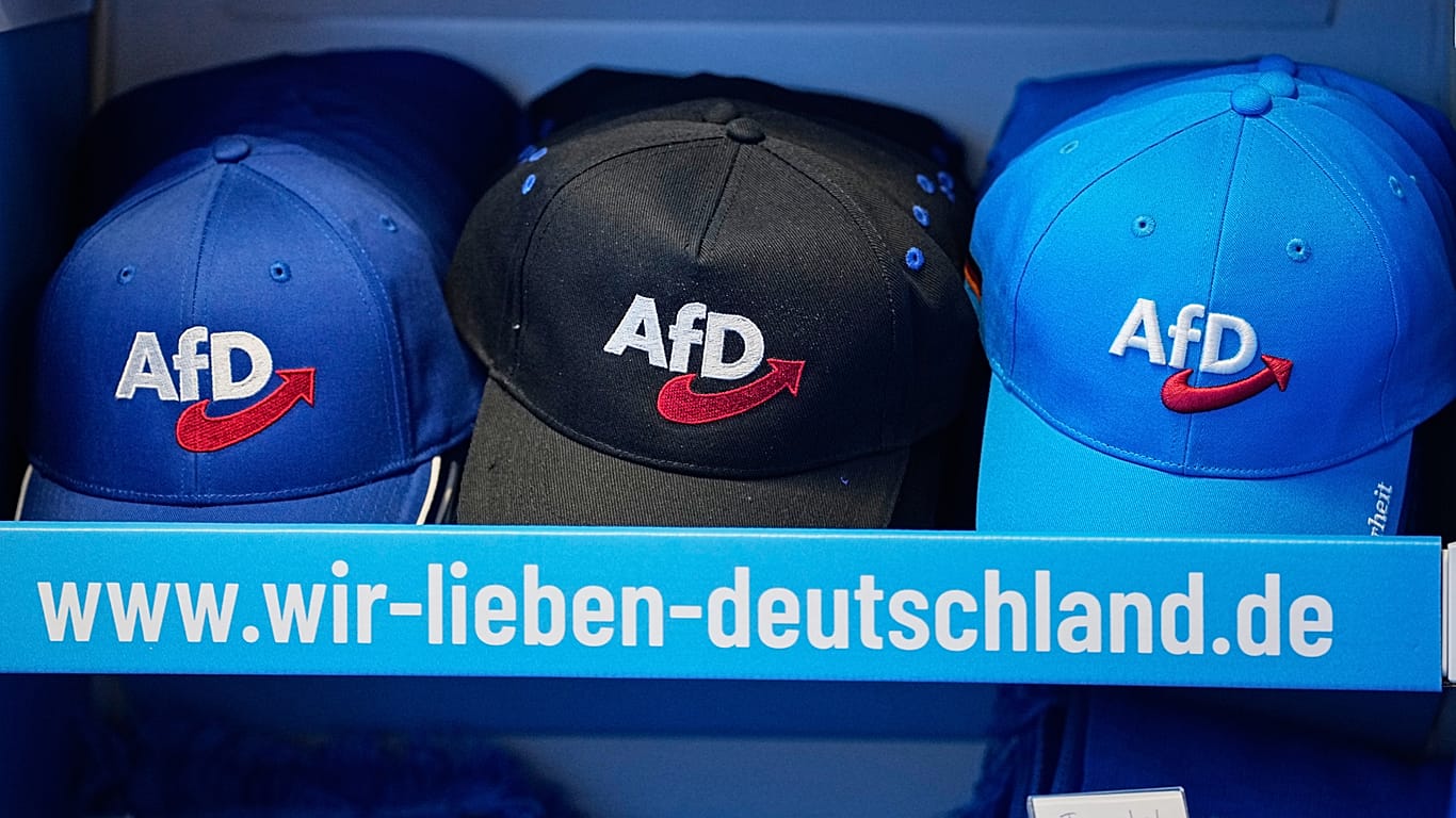 Bavarian AfD proposes ICE-style police unit for deportations | Euronews
