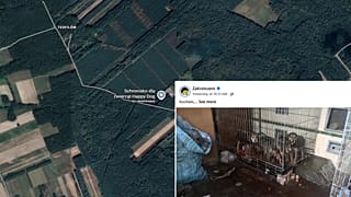 Psy przetrzymywane z za małych klatkach w schronisku.