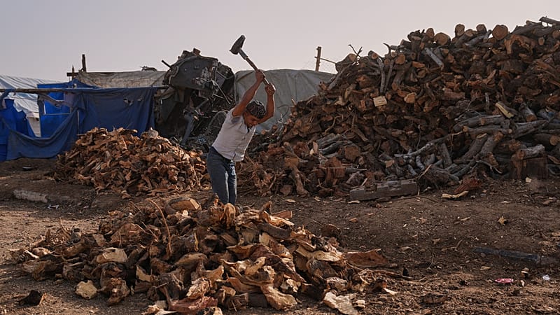 بين البرد والجوع: الحطب بديل مكلف لغاز الطهي في قطاع غزة 