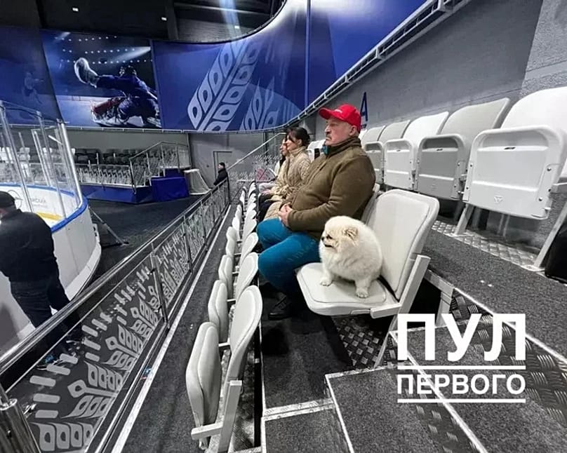 Le spitz de Loukachenko, lors d'un match de hockey à Minsk le 3 mai 2023.