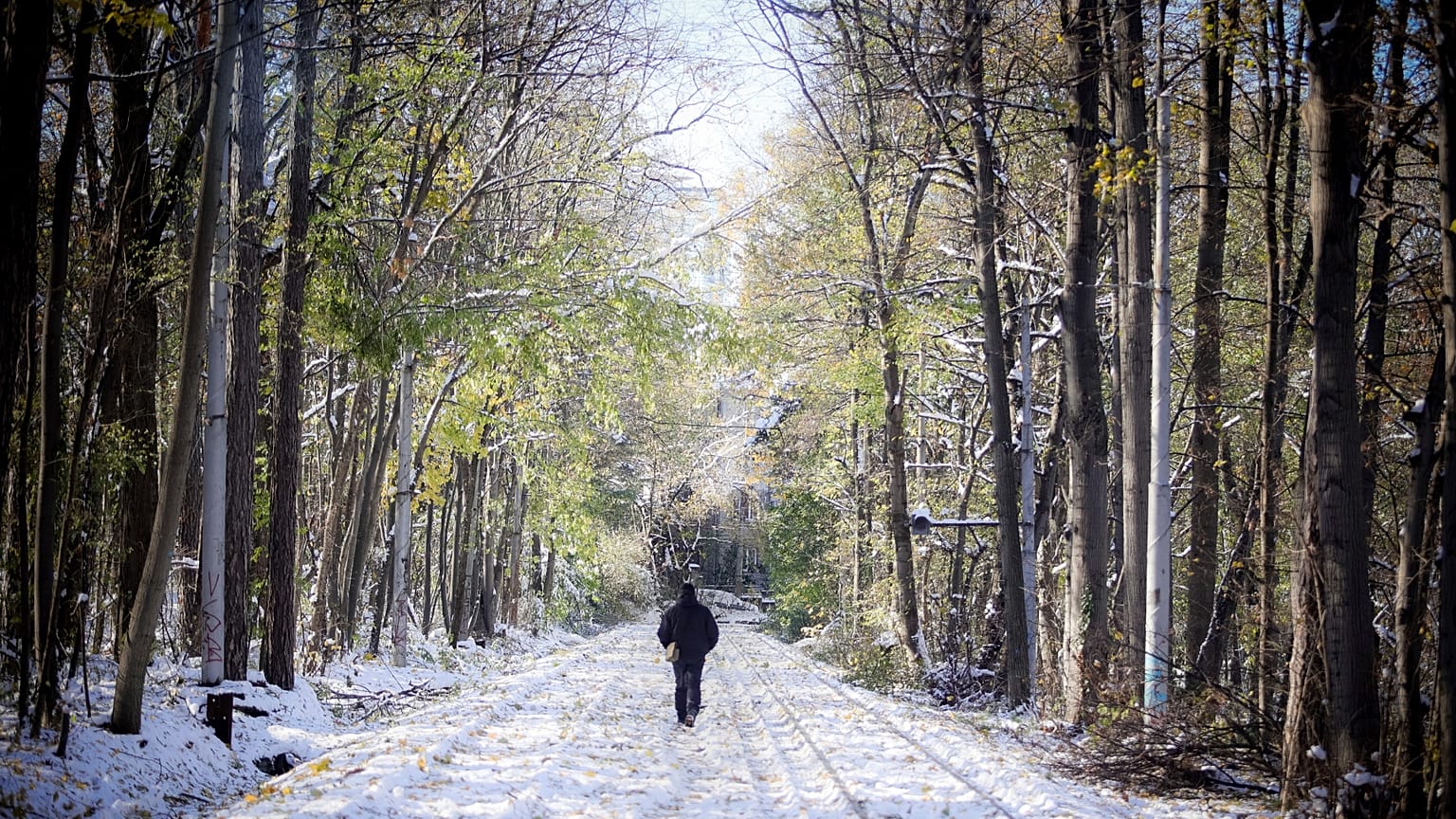 Un hombre en Bulgaria paseando por un bosque
