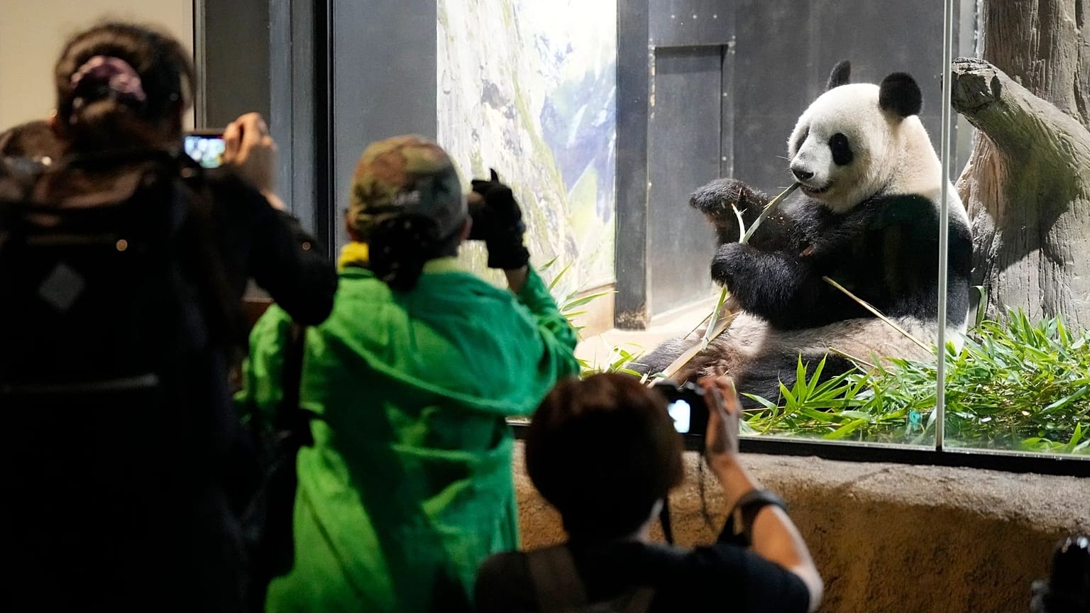 A búcsú pillanatai