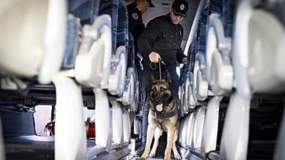 Interpol : plus de 3 700 suspects arrêtés pour traite d'êtres humains