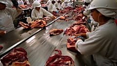 Arbeiter in der Fleischverarbeitungsfabrik Bertin schneiden Fleisch in der Stadt Lins, Sao Paulo, Brasilien.  (AP Photo/Dario Lopez-Mills, Datei)