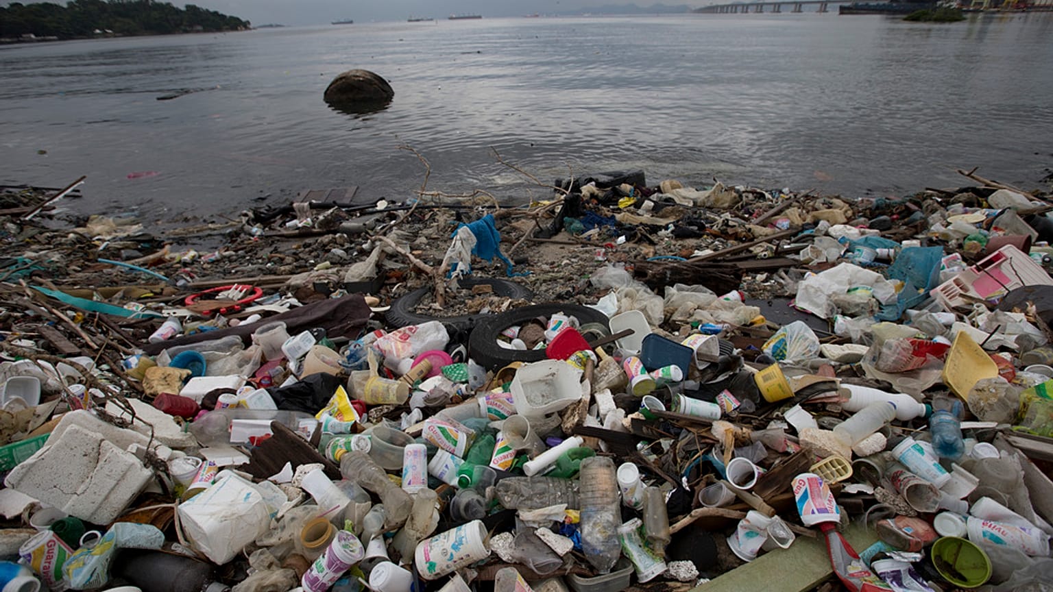 تتراكم النفايات على ساحل خليج غوانابارا في ريو دي جانيرو، البرازيل