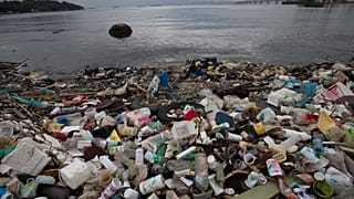 تتراكم النفايات على ساحل خليج غوانابارا في ريو دي جانيرو، البرازيل