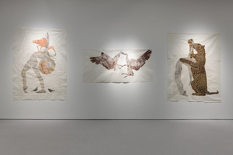 Marta Roberti Self-portrait as St. Francis talking to birds with ibis on his chest, 2024; Birds playing in flight, 2024; Self-portrait as Saint Olivia lying on jaguar, 2024