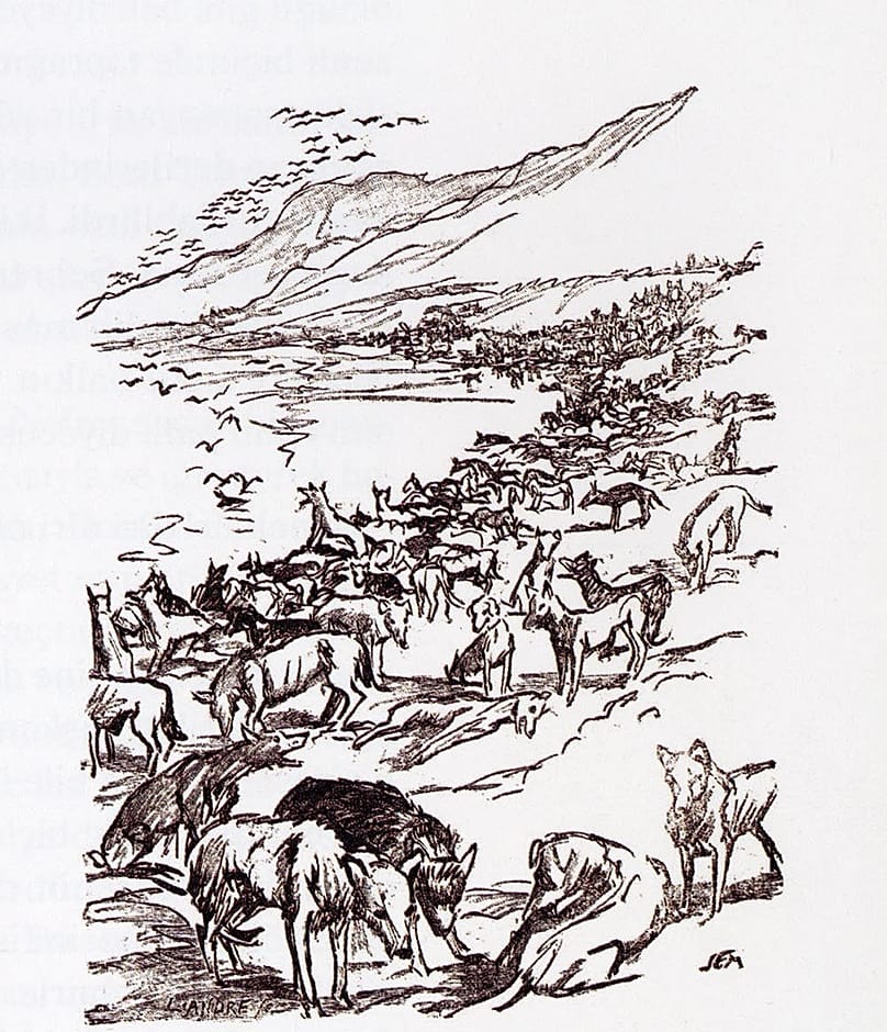 Hand drawing, a 1910 depiction of dog deportations to the Wicked Island by the French caricaturist Sem.