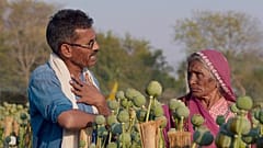 Mangilal und Frau Vardibai auf ihrem Land
