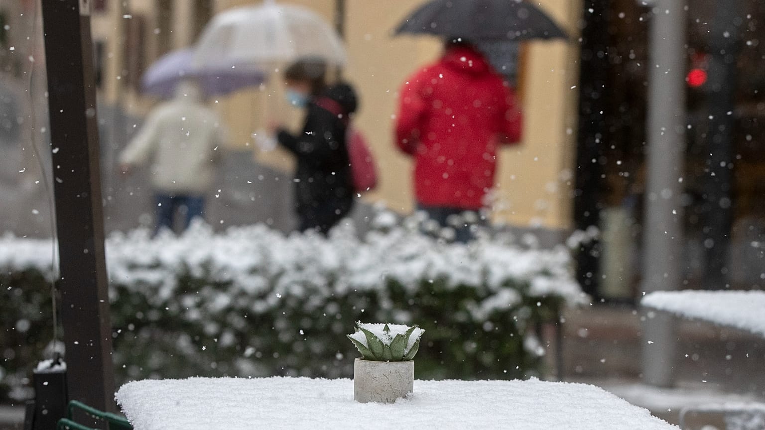 FILE: A cactus on a snow-covered table in an outside terrace bar during snowfall in Madrid