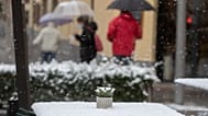 FILE: A cactus on a snow-covered table in an outside terrace bar during snowfall in Madrid