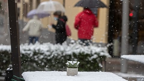 FILE: A cactus on a snow-covered table in an outside terrace bar during snowfall in Madrid