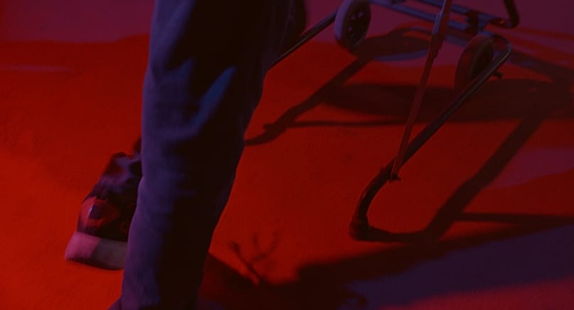 «Από τι είμαστε φτιαγμένοι»