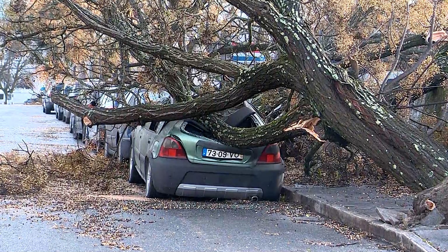 A tree fell onto a car following strong winds brought by Storm Kristin in Castelo Branco, Portugal, Jan. 28, 2026.