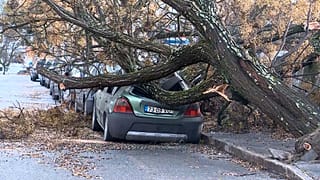 Tempesta Kristin in Portogallo: a Castelo Branco un albero cade su un'auto per i forti venti, il 28 gennaio 2026.