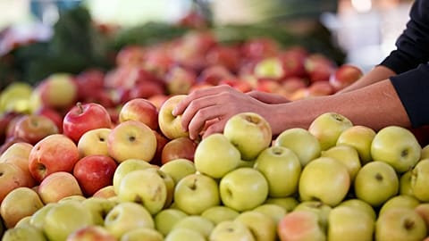 European apples tainted with 'pesticide cocktails', new study claims