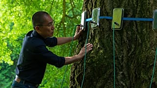A magányos neurológus professzort játszó Tony Leung Chiu-Wai