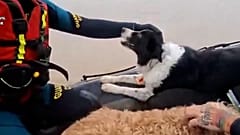 Ein Team der spanischen Guardia Civil rettet in Jerez de la Frontera nach Überschwemmungen Hunde und Katzen. Am 29. Januar 2026.