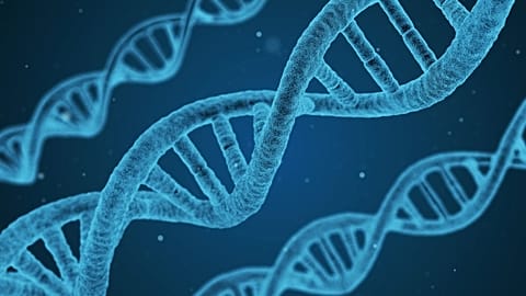 Google’s new AI tool decodes DNA mutations.