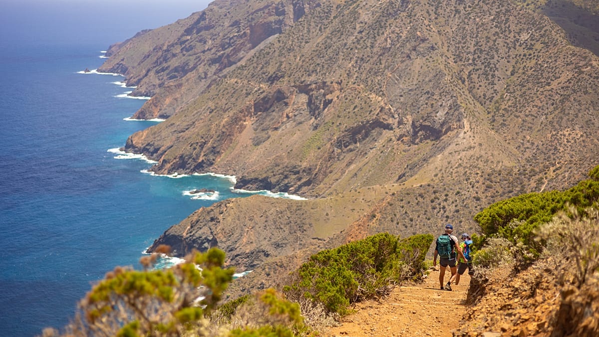 F-nf-M-glichkeiten-das-Wesen-von-La-Gomera-das-ganze-Jahr-ber-zu-erleben