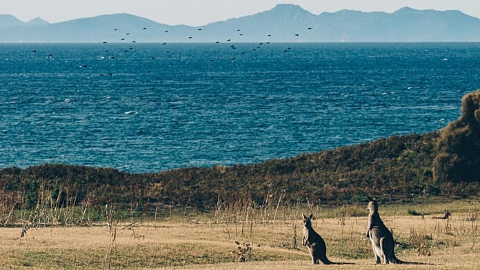Viaggio insolito: quando un sito AI guida i turisti a un'attrazione termale inesistente 1 Weldborough Tasmania