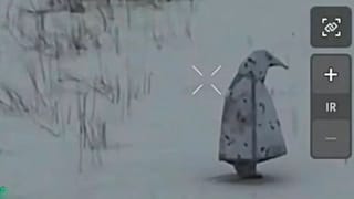 Az orosz pingvin álca