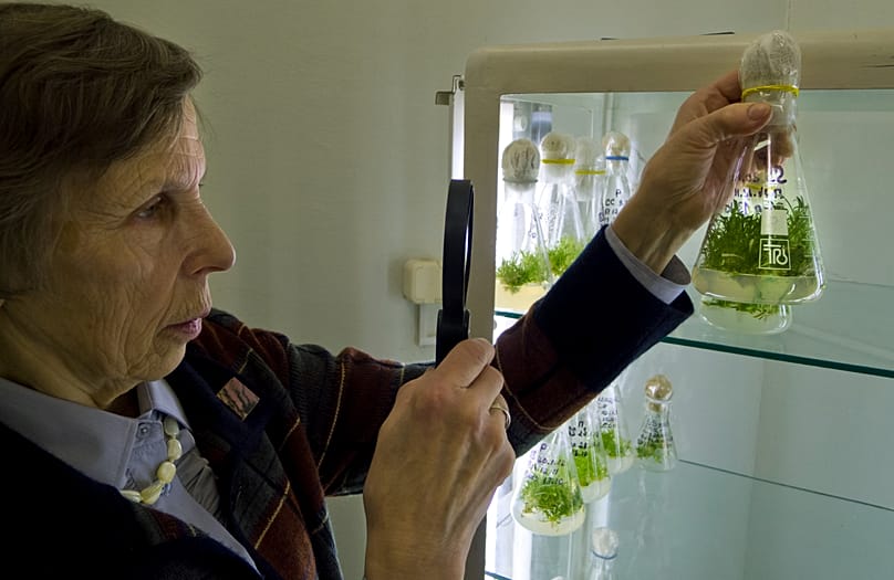 Eine Wissenschaftlerin untersucht in einem Labor eine Probe (Symbolbild).