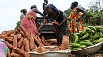 Ghana : l'inflation atteint son plus bas niveau depuis 5 ans 