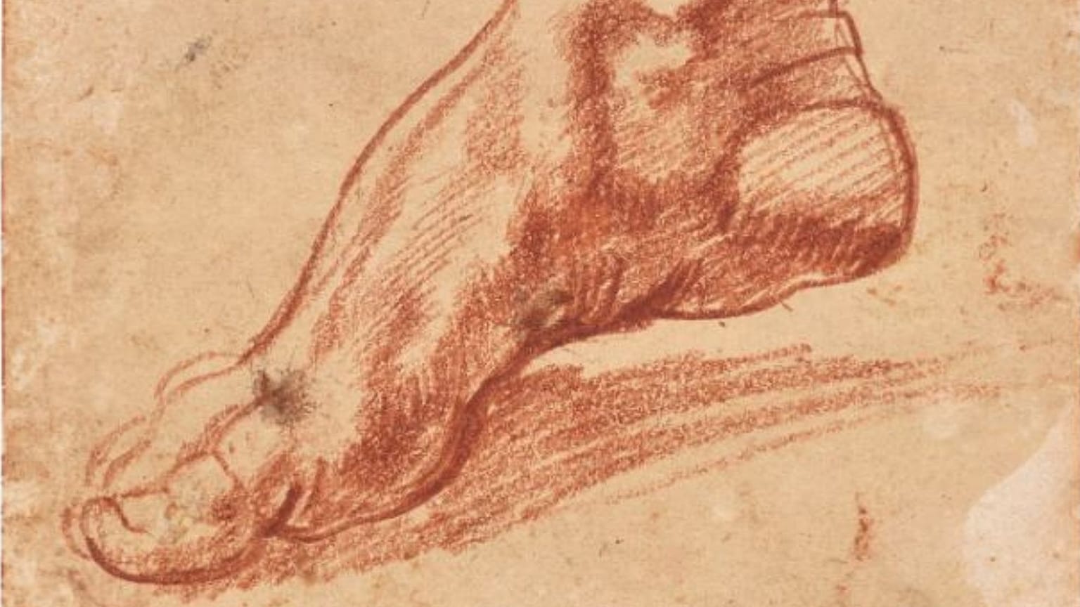 Study for a foot of the Libyan Sibyl/Michelangelo (1475-1564)
