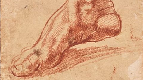 Study for a foot of the Libyan Sibyl/Michelangelo (1475-1564)