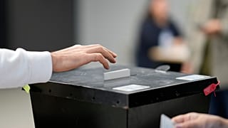 Mais de 11 milhões de eleitores estão inscritos para votar neste ato eleitoral