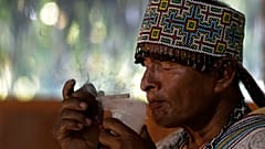 In den vergangenen Jahren ist Ayahuasca als Wellness-Ritual immer populärer geworden.