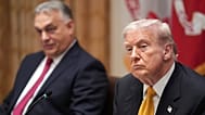 President Donald Trump, right, meets with Hungary's Prime Minister Viktor Orban, left, in the Cabinet Room of the White House, Friday, Nov. 7, 2025, in Washington.