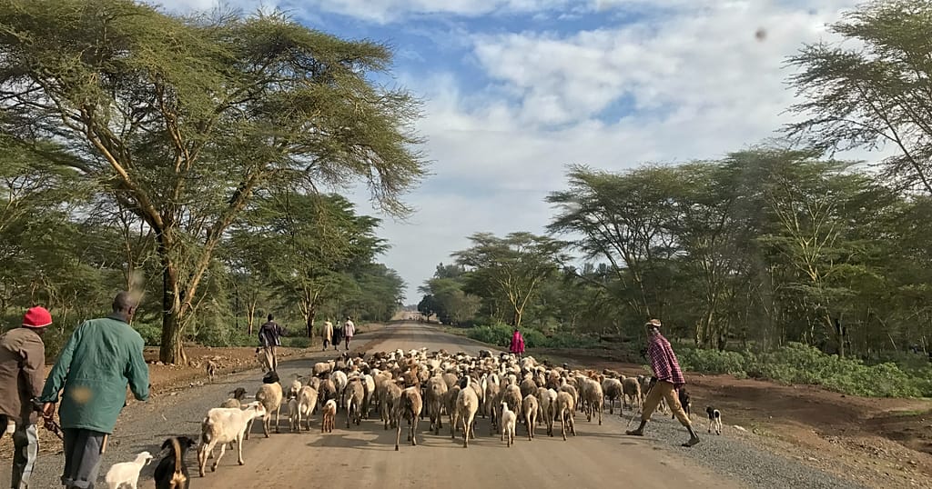 Meet the Kenyan teaching robotics to children in rural areas