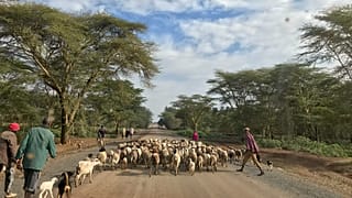 Meet the Kenyan teaching robotics to children in rural areas