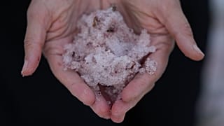 **Deutsch:**  Jana Brough betrachtet rosafarbenen Schnee, den sie am Tony Grove Lake nahe Logan im US-Bundesstaat Utah am Mittwoch, dem 28. Juni 2023, in ihrer Hand gesammelt 