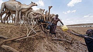 Drought in Kenya spreads beyond arid north