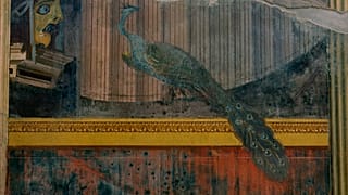 Sito romano di Oplontis, che andò perduto quando il Vesuvio eruttò nel 79 d.C