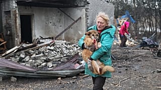 يُخلي أشخاص كلابًا مصابة بعد غارة جوية روسية استهدفت مأوى للكلاب الضالة في زابوريجيا بأوكرانيا، الجمعة 6 فبراير/شباط 2026.
