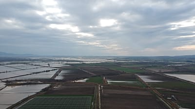 ΦΩΤΟΓΡΑΦΙΑ ΑΡΧΕΙΟΥ - Πλημμυρισμένα χωράφια μετά τις έντονες βροχοπτώσεις στον Έβρο, Τετάρτη 13 Ιανουαρίου 2021