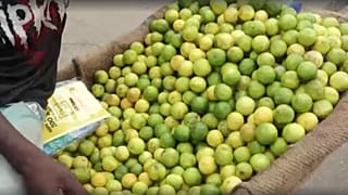 Organisation promoting Central African economic integration suspends activities