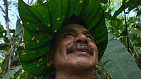 Ramon Pucha demonstrates how to turn a leaf into a sunhat on his family's farm in Alto Ila, in Ecuador's Amazon region, Tuesday, Feb. 3, 2026. 