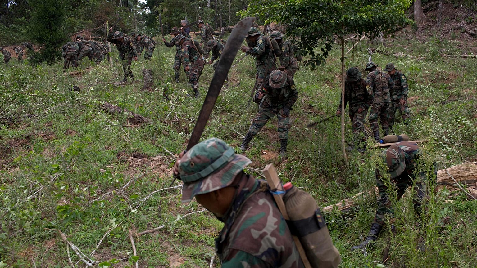 I soldati usano i machete per tagliare le piante in una piantagione illegale di coca in Bolivia
