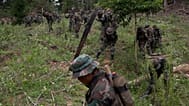 I soldati usano i machete per tagliare le piante in una piantagione illegale di coca in Bolivia