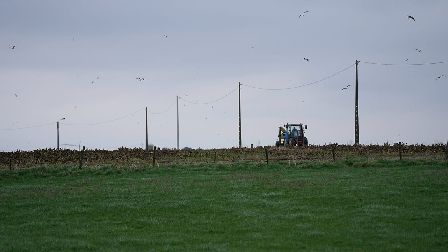 A farmer riding a tractor works in a field in West Flanders, Belgium, Wednesday, Feb. 21, 2024.