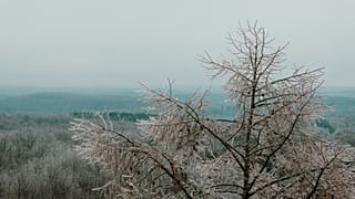 Auf der einen Seite der Erde klirrende Kälte, auf der anderen Rekordhitze: Ein Januar der Extreme.