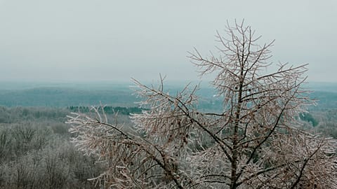 Extreme cold and extreme heat marked January on different sides of the globe